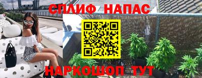 гашик Балахна