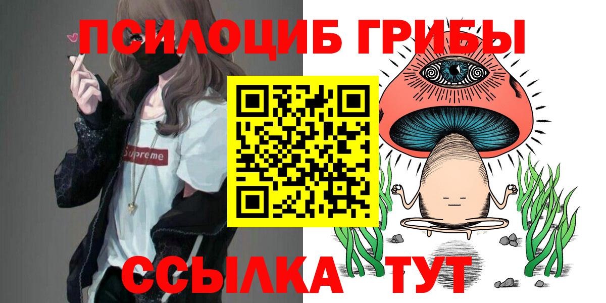 Псилоцибиновые грибы мицелий Ачинск