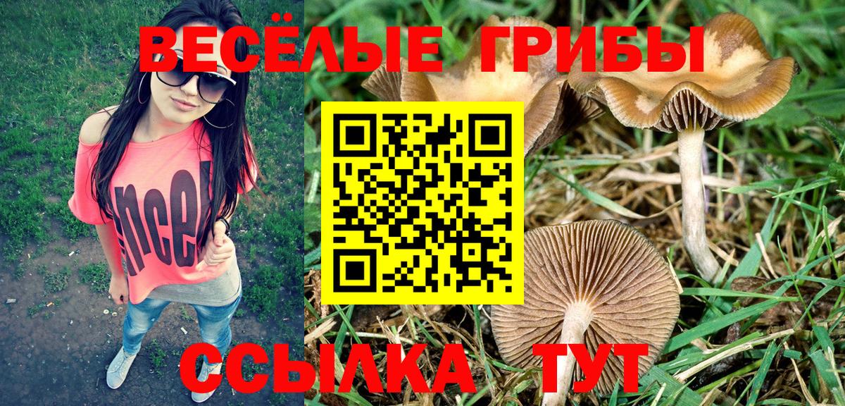 Псилоцибиновые грибы Psilocybe  Вход с VPN  Ачинск  Псилоцибиновые грибы ЛСД 